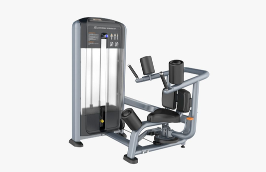 Phoenix Rotary Torso P-012