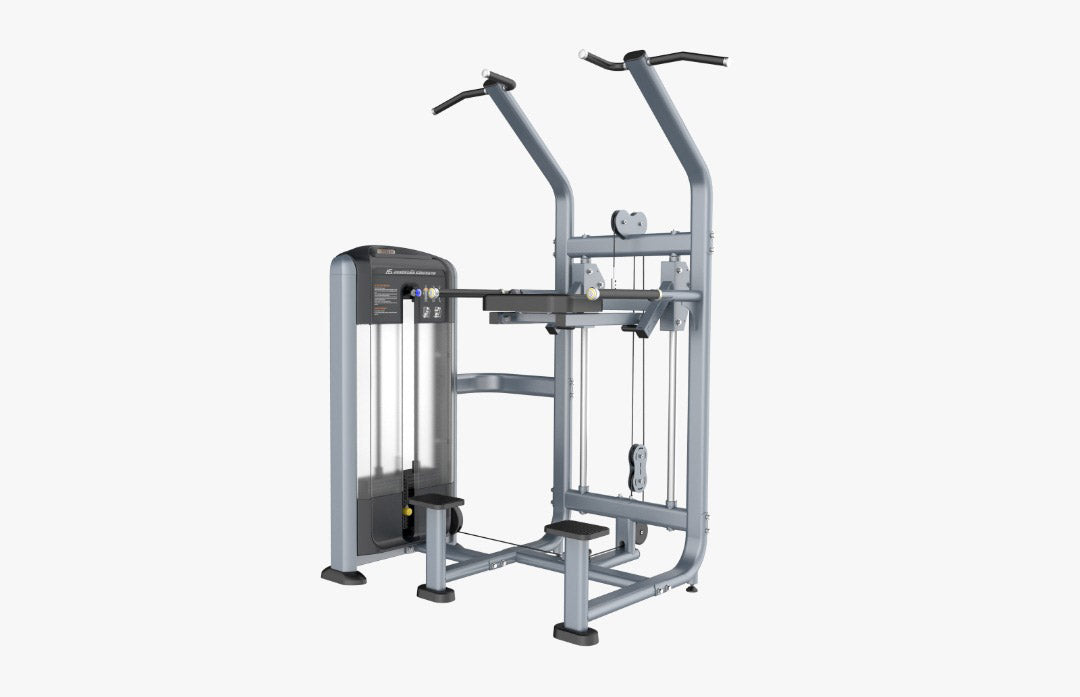 Phoenix Assisted Dip/Chin P-008