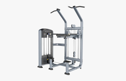 Phoenix Assisted Dip/Chin P-008