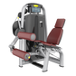 Skyline Seated Leg Curl S-16