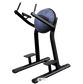 Leg Raise L-31