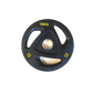PU Weight Plate WP-01